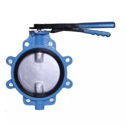 Leader 2-1/2 Inch, 65 mm Cast Iron Butterfly Valve CI 029-image-29