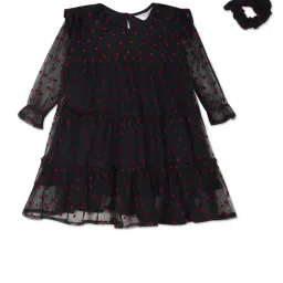 U.S. Polo Assn. Kids Black Printed Full Sleeves Dress-picture-47