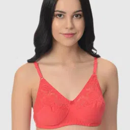 Mod & Shy Multi Lace Print Bra Set image 2