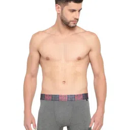 Van Heusen Grey Cotton Regular Fit Trunks-picture-32