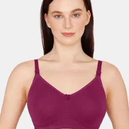 Zivame Raspberry Radiance Non Wired Non Padded Maternity Bra-picture-18