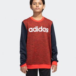 Adidas Kids Cotton Full Sleeves Sports Sweatshirt Logo Print- Red & Blue-image-94