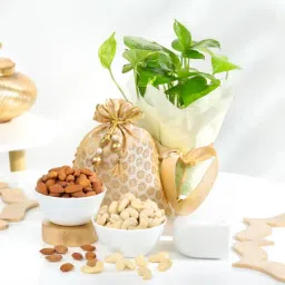 Harmony And Wellness Package-image-57