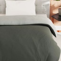 Bianca Ultra Soft Grey & Ivory 152 TC Micro Fabric Single Reversible Comforter For All Weather image 2