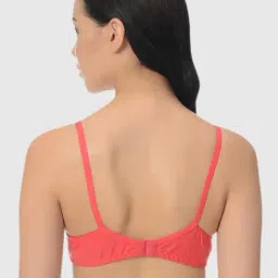 Mod & Shy Multi Lace Print Bra Set image 4