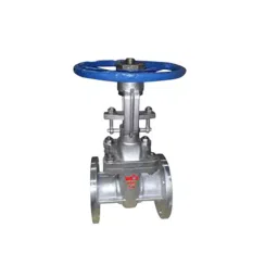 Valson Bolted Bonnet Gate Valve 50.8 mm (2 inch) Stainless Steel Flanged, CF8-picture-18