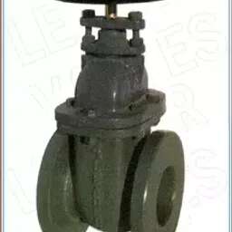 Leader Cast Iron Gate Valve 65 mm Class 125-image-47