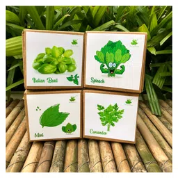 sow & grow Sow and Grow DIY Gardening 4 Greens Kits - Mint, Coriander, Italian Basil and Spinach-picture-27