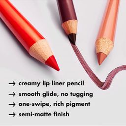 Seven Seas HD Sharp Line Transferproof Matte Finish Lip Liner - Red Tease - 03 image 2