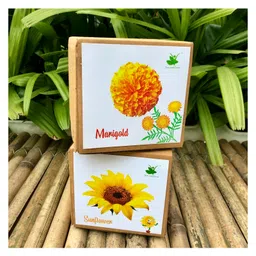 sow & grow Sow and Grow DIY Gardening Flower Kits - Marigold and Sunflower-picture-29
