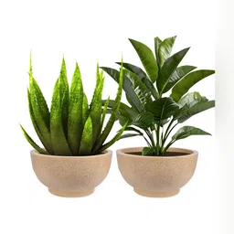 RUBOXA 2-Pcs Brown UV-Protected Planters-image-12