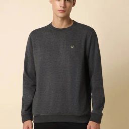 Allen Solly Grey Cotton Regular Fit Sweatshirt-image-47