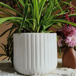 Niyara line Design Stylish Large Ceramic Pots Planters for Indoor Plants - Snow White-28