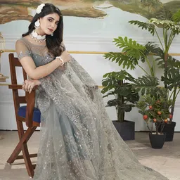 Munir Floral Sequinned Net Designer Saree image 5