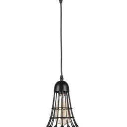 DecorativeRay Black Hanging Light - Set of 1-picture-9