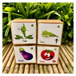 sow & grow Sow and Grow DIY Gardening 4 Vegetable Kits - Brinjal, Okra, Chilli and Tomato-picture-24