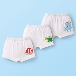 Doodle Poodle 100% Cotton Knit Sea Animals Printed Trunks Pack Of 3 -White-image-100