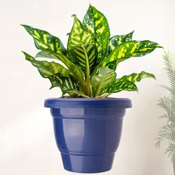 Kuber Industries Blue Set Of 8 Plastic 2-Layer Planters image 2