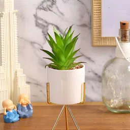 EarthCraft Green & White Succulent Artificial Plant-27