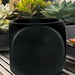 LASAKI Aero Black Ceramic Planters-image-88