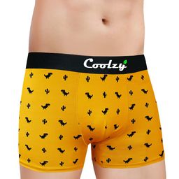 COOLZY Pack Of 2 Printed Long Trunks PUERRTTK2K30-S image 2
