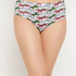 Clovia Multicolor Cotton Printed Hipster Panty-image-22