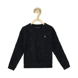 Allen Solly Kids Navy Textured Full Sleeves Sweater-image-6