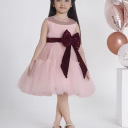 Ministitch Applique Net Fit & Flare Dress-picture-35