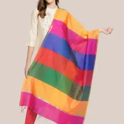 Dupatta Bazaar Multicolor Striped Dupatta-image-25