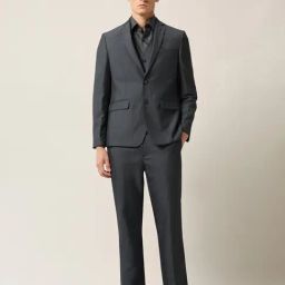 Arrow Grey Regular Fit Self Pattern Two Piece Suit-picture-42