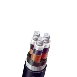 Polycab 70 Sq.mm 3 Core Aluminium Conductor Armoured HT Flat Steel Strip Power Cable 6.6 KV (UE)/11 KV (E)-image-16