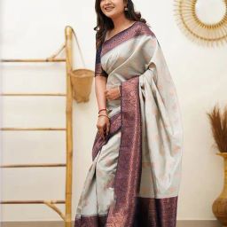 Anjaneya Sarees Grey Banarasi Silk Saree with Unstiched Blouse-picture-46