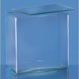 Abgil 30x17x9 cm Clear Glass Rectangular Specimen Jar with Glass Cover Lid ABGXX20283-image-11