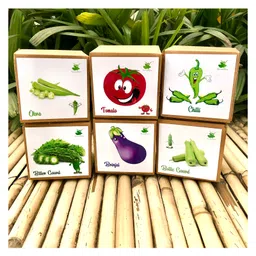 sow & grow Sow and Grow DIY Gardening 6 Vegetable Kits - Brinjal, Okra, Chilli, Tomato, Bitter Gourd and Bottle Gourd-picture-19