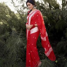 Anjaneya Sarees Red Banarasi Silk Saree with Unstiched Blouse-image-24