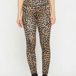 Clovia Brown Animal Print Tights-image-24