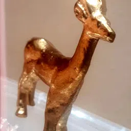ASTRO-D Unisex Gold Showpieces-picture-45