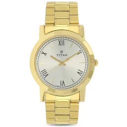 Titan NP1644YM01 Karishma Analog Watch for Men-picture-37