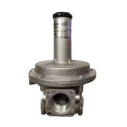 Madas Gas Pressure Regulator Grey 40-110 MBAR, RG/2MC DN 25-picture-31