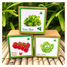 Sow and Grow DIY Gardening 3 Exotic Seed Starter Kits - Cherry Tomato, Italian Basil and Lettuce Iceberg-49