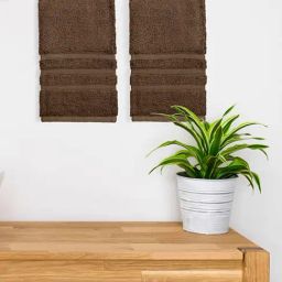 Boutique Living Kalpavriksha Brown 550 GSM Cotton Hand Towels - Set of 2-image-42