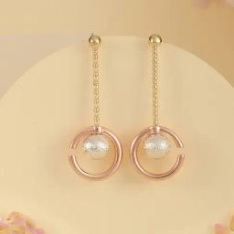 Saraf RS Jewellery Anti-Tarnish Gold & Rose Gold Plated Chain Dangling Earrings for Women-4
