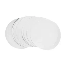 Axiva 190025R 2.5 cm 0.2 µm Cellulose Acetate White Membrane Filter (Pack of 100)-18
