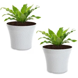 Kuber Industries White 2 Pieces Textured Planters-51