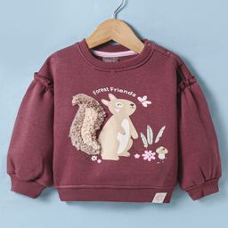 Little Kangaroos Fleece Knit Full Sleeves Sweatshirt With Squirrel Print & Applique - Wine-image-15