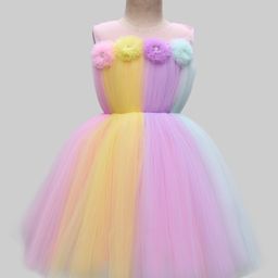 Bluebell Net Woven Sleeveless Party Dress With Floral Applique & Color Block Design - Multicolor-image-13