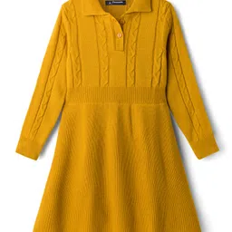 Pine Kids Knit Full Sleeves Woolen Dress with Cable Knit Design - Mustard-picture-39