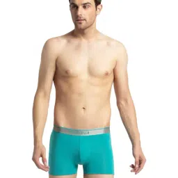 Van Heusen Green Trunks-picture-12