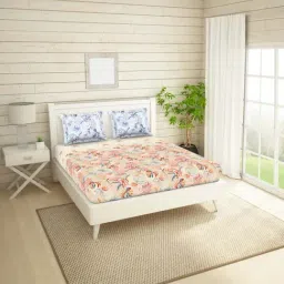 Spaces Bonica Beige & White Cotton 144 TC Queen Bedsheet Set-image-54
