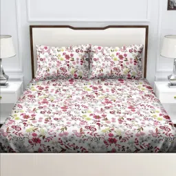 BELLA CASA Genteel Floral Multicolor 180 TC Cotton King Bedsheet with 2 Pillow Covers-image-91
